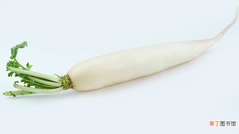 秋天种什么蔬菜