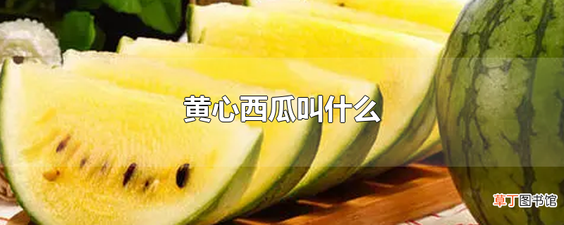 黄心西瓜叫什么