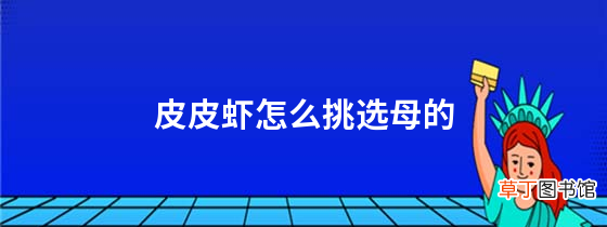 皮皮虾怎么挑选母的
