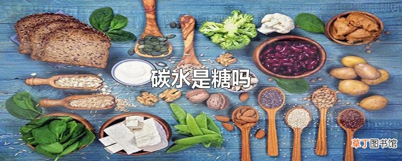 碳水是糖吗