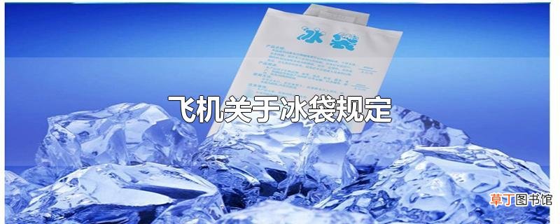 飞机关于冰袋规定