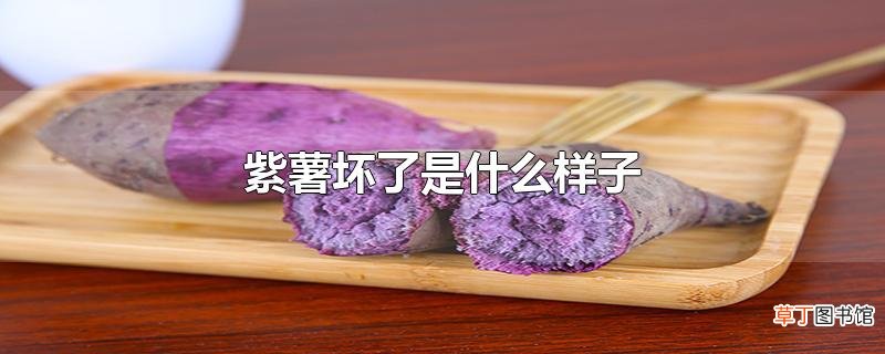 紫薯坏了是什么样子