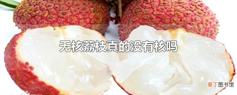无核荔枝真的没有核吗