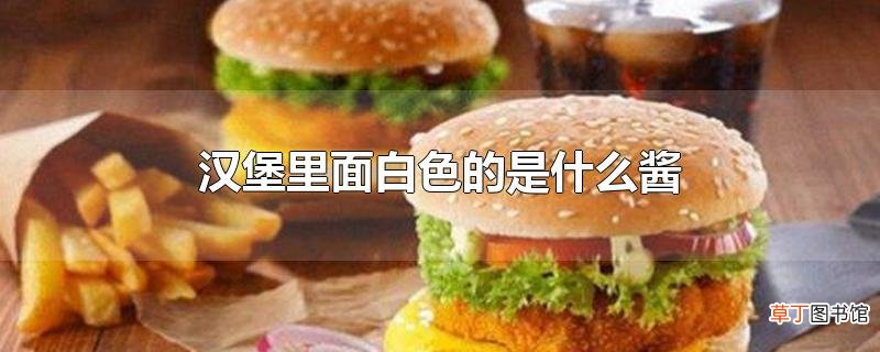 汉堡里面白色的是什么酱
