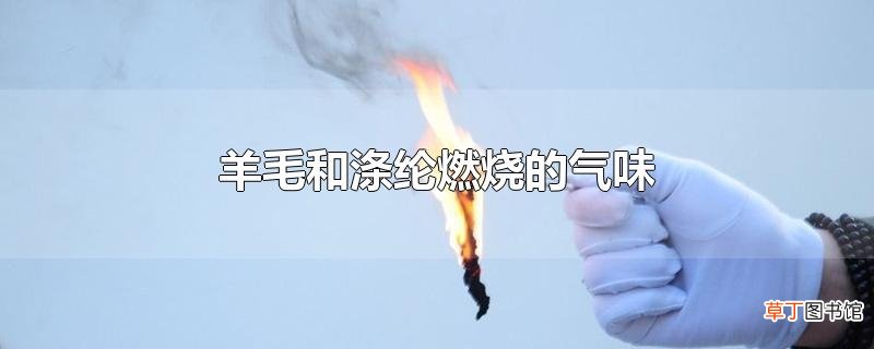 羊毛和涤纶燃烧的气味