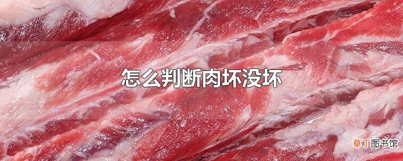 怎么判断肉坏没坏