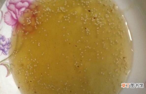 煮糖浆怎么煮 熬制糖浆的方法