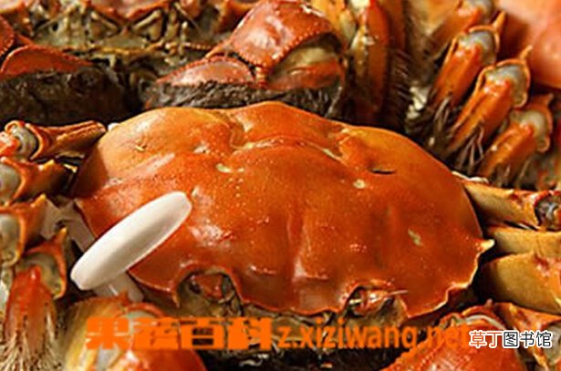 螃蟹怎么吃才不会太寒 螃蟹与什么一起吃好