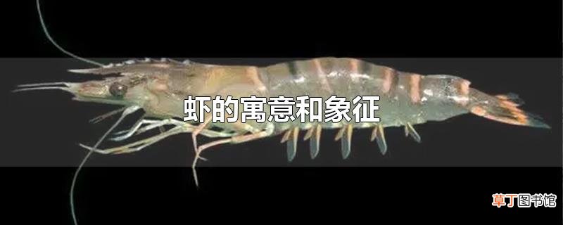 虾的寓意和象征
