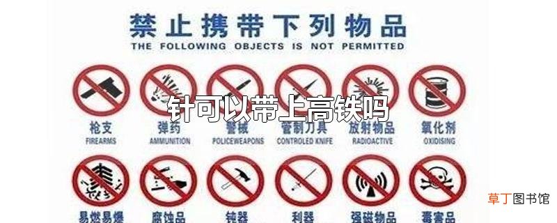 针可以带上高铁吗
