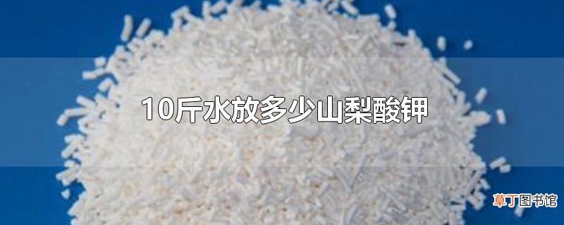 10斤水放多少山梨酸钾