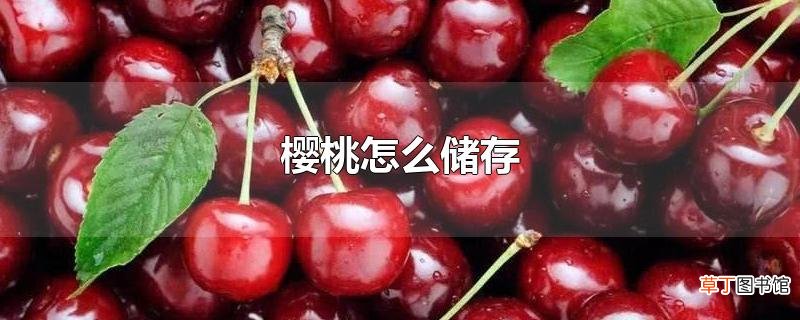 樱桃怎么储存
