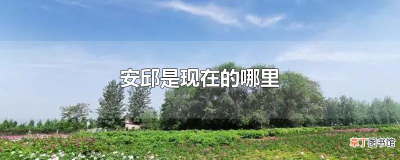 安邱是现在的哪里