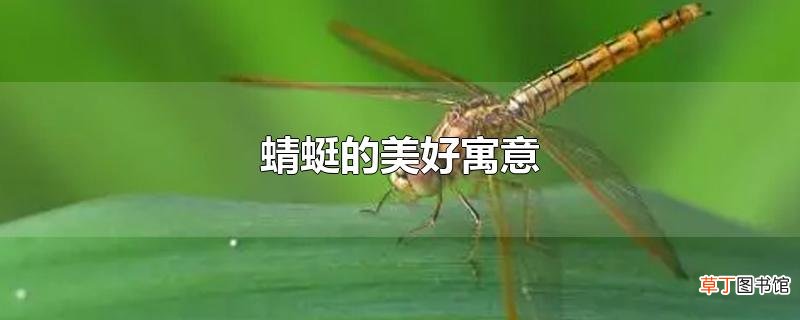蜻蜓的美好寓意