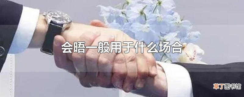 会晤一般用于什么场合