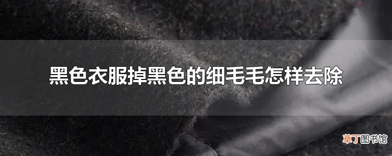 黑色衣服掉黑色的细毛毛怎样去除