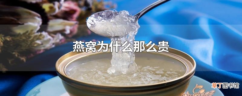燕窝为什么那么贵