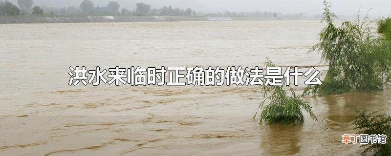 洪水来临时正确的做法是什么