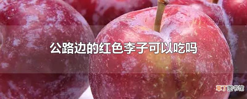 公路边的红色李子可以吃吗