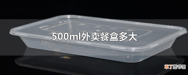 500ml外卖餐盒多大