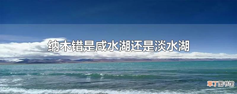 纳木错是咸水湖还是淡水湖