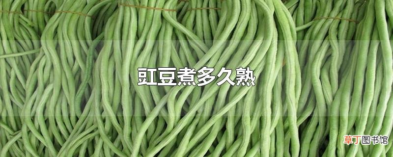 豇豆煮多久熟