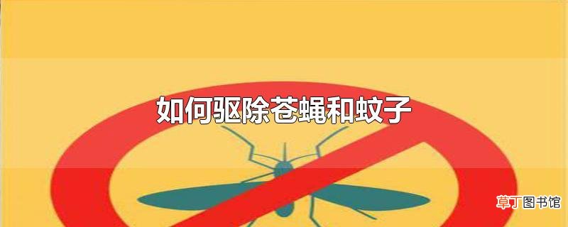 怎么驱除苍蝇和蚊子
