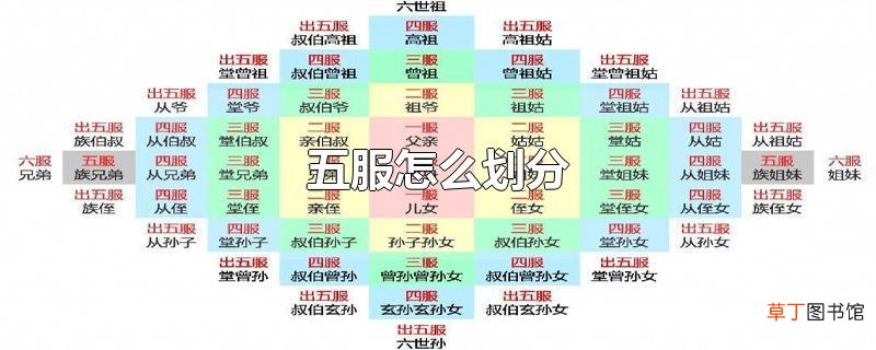 五服怎么划分