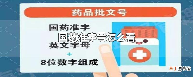 国药准字号怎么看
