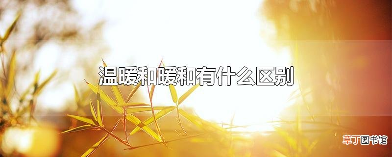 温暖和暖和有什么区别