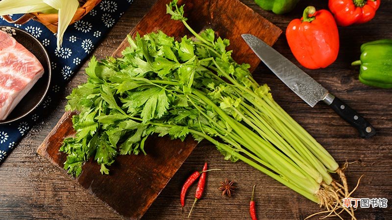 夏季吃什么青菜好