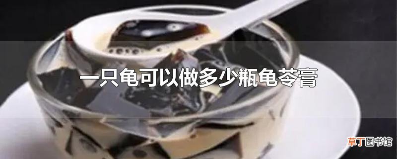 一只龟可以做多少瓶龟苓膏