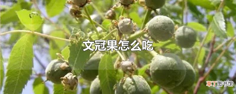 文冠果怎么吃