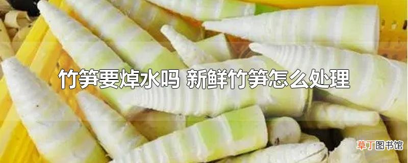竹笋要焯水吗 新鲜竹笋怎么处理