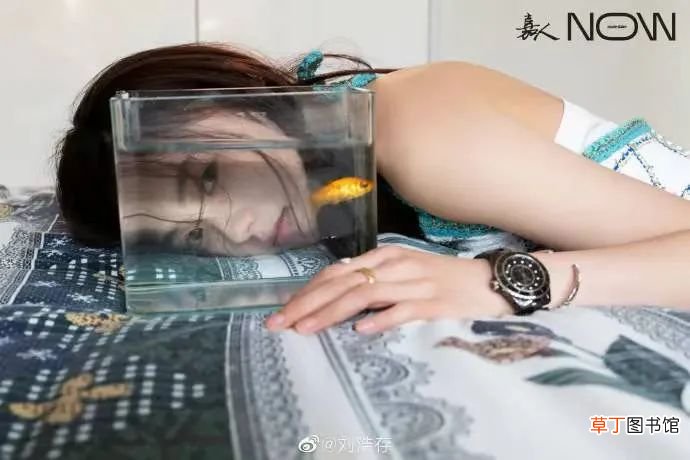 张艺谋身边的女人，要用放大镜看