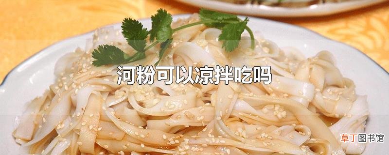 河粉可以凉拌吃吗