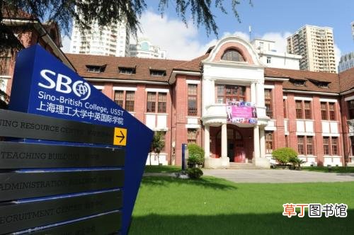 上海中外合作办学的大学有哪些