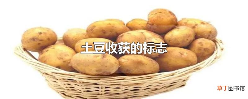 土豆收获的标志