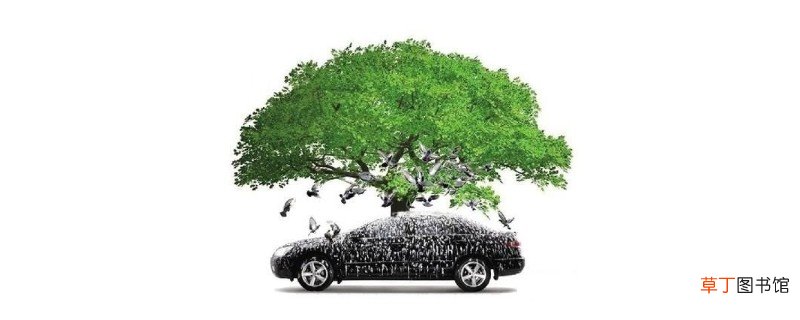 汽车停树下满车斑点