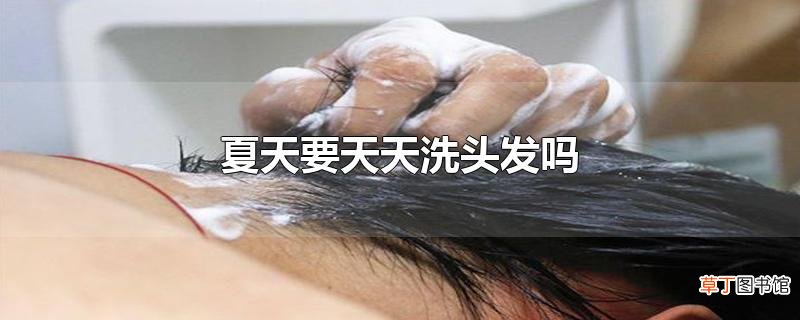 夏天要天天洗头发吗