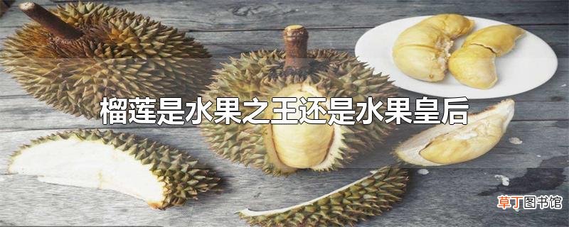 榴莲是水果之王还是水果皇后