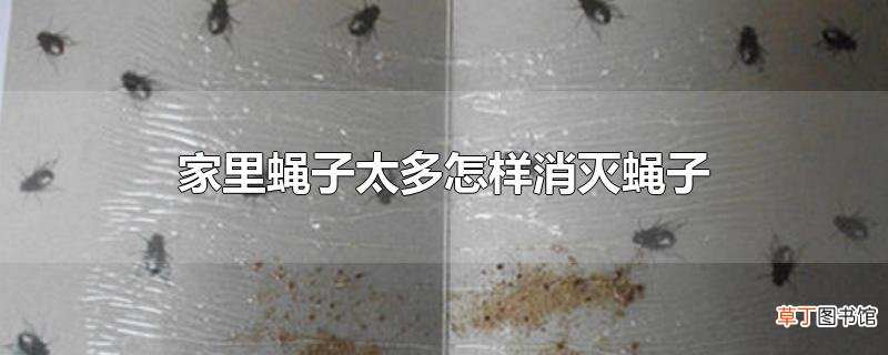 家里蝇子太多怎样消灭蝇子