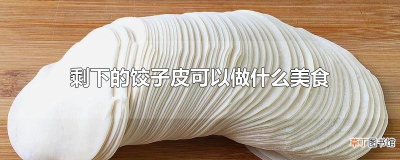 剩下的饺子皮可以做什么美食