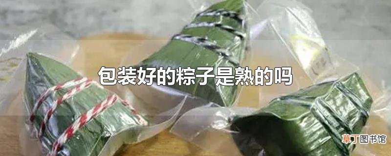 包装好的粽子是熟的吗