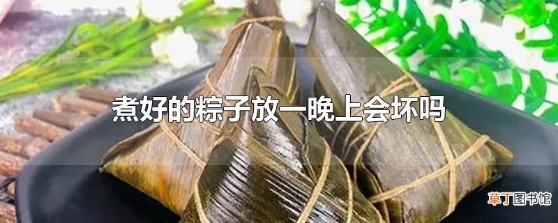煮好的粽子放一晚上会坏吗