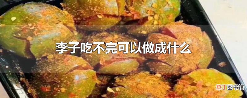 李子吃不完可以做成什么
