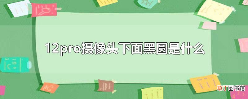 12pro摄像头下面黑圆是什么