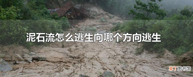 泥石流怎么逃生向哪个方向逃生