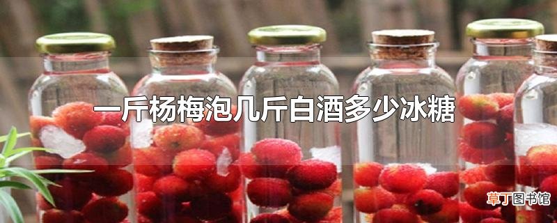 一斤杨梅泡几斤白酒多少冰糖