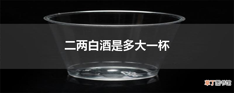 二两白酒是多大一杯
